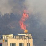 포항산불 원인, 범인