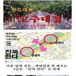 역사의 한순간을 <b>장식</b>할뻔한 솔로대첩을 아시나요?