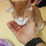 우리맘마<b>미아</b>가왜이럴까요...