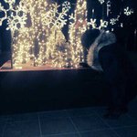 빠가psh 나 진짜바본가봐...