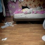 [냥판]  comeback #1 (스.압주의)앙칼진 김이만두 )