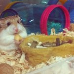 변비 <b>직빵</b> 하는법