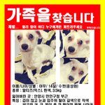 14년같이살아온 가족을찾습니다 한번만도와주세요