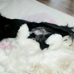 콩이랑<b>베키</b>