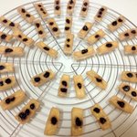 지금까지 만든 강아지 수제간식 올려봄미당 'ㅅ'