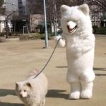 오랜만이야 구<b>맴</b><b>버</b> 혹시있나??