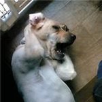 <b>씨씨</b>...... 난 못 봤음으로 다시 ㄱㄱ