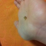 (백와달팽이) 4개월된 달팽이 4마리 <b>입양</b>해가실분!
