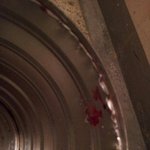 [스압] 옆집아저씨가 술마시고 칼들고 쫓아옵니다