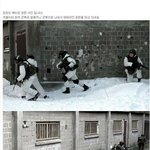 휘바국 <b>예비역</b>들의 흔한 훈련