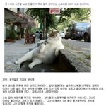 창의적인 스토리<b>텔러</b> 甲