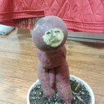 사진ㅇㅇ) 귀욤 포텐 빵빵터트리시는우리할아부지