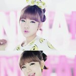 타이니지에 지코 닮은애찾음!!