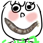<b>해삼</b>친구야 !요기