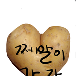 쩨알이<b>감자</b>