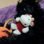 내 <b>보물</b>들 ㅋ