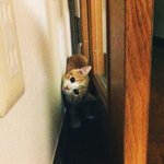 2011년 묘한 첫만남