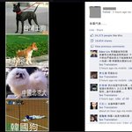 페이스북에서 본 한국<b>비하</b>글?