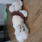 귀염둥이<b>비숑</b>프리제
