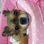 !!!<b>깜지</b>가살아가는법2탄!!!