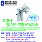 2013년도 청소년 비평단 정규모집 (대한민국청소년<b>의회</b>)