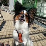 삐용삐용 몽실이 <b>첫인사</b>~ 쀼슝~~