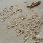 8년. 너는 모르는 이야기 2