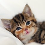 여자들 읽어줘 제발..간절함..