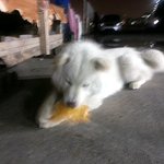 <b>발정</b>난 상남자 장군이...(19금...;;;)