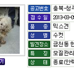 동물보호관리시스템 <b>항의</b>전화해주세요!