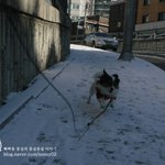 중력으로부터 자유로운... 넘넘 씐나요!!