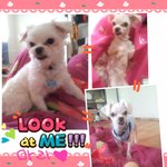 <b>미용</b>하기
