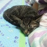 <b>이슬이</b> 리즈시절.. ㅋㅋ(지금도.. 리즈긴하지만... ㅋ)