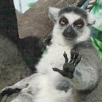 흔한 아버지의 내비를 믿냐? 니 <b>애비</b>를 믿냐?  썰...ㅋ