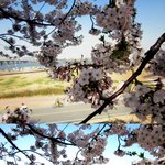 꽃놀이가면서 듣기 좋은 노래 <b>best</b> 10^^! 1