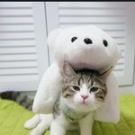 꿀모닝입니다