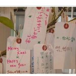 일본 공영방송을 <b>능욕</b>한 한국인의 패기....