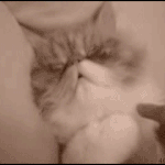 <b>라바</b>의 무서운 이야기(단편) 07