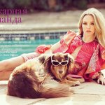 미니오스트레일리안 쉐퍼드 "<b>루리</b>" 성장일기-4탄-