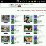 천호동12마리냥이를 위해 후원하신분들 필독