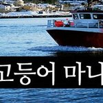 노르웨이 고등어 마니아 테스트~!!