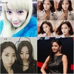 (사진有)강아지상vs<b>고양</b>이상