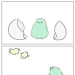 본격 병아리 신발 <b>사러가</b>는 만화.jpg