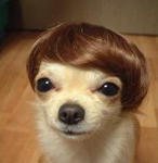 아...난 또라인가..