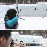 충격적인 관광 패키지(사진有)