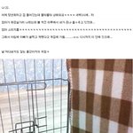 ✖✖✖<b>자식</b>을 개집에 가둔 아빠✖✖✖