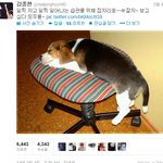 <b>샤</b><b>월</b>들아