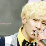 샤월들아 오늘 머스트 <b>or</b> 샤어멋