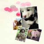 <b>저도</b>우리아들자랑좀하겟습니다 ㅎㅎ