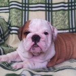 조용할날이없는 우리아가들 ~